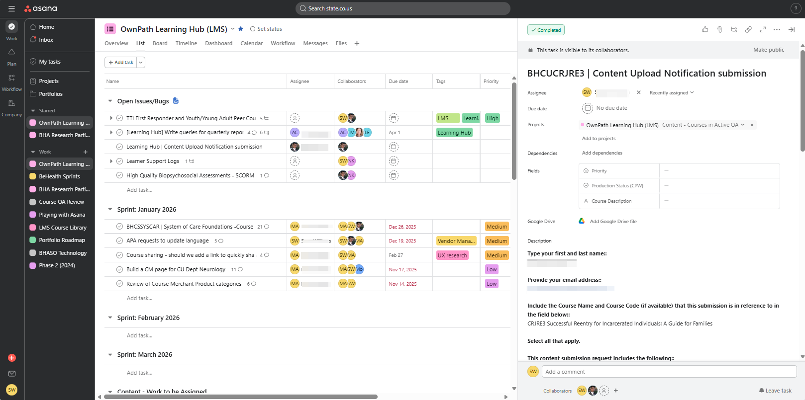 Asana Project Ticketing Tracking