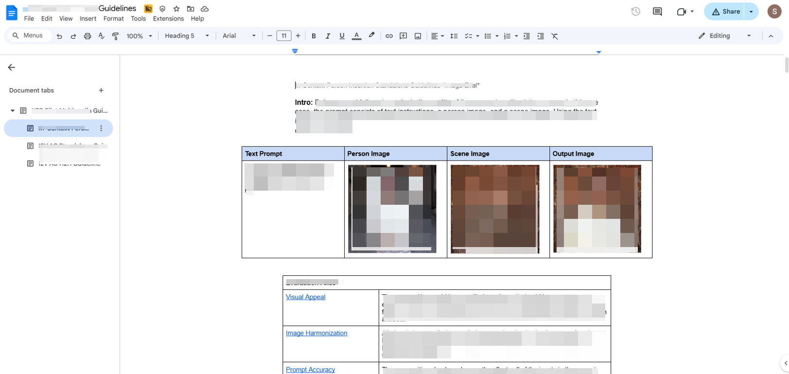 Evaluation Guidelines